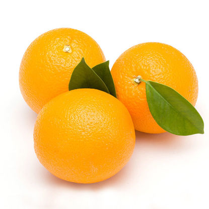 تصویر از پرتقال تامسون طبیعی درجه 1