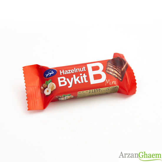 تصویر از شونیز مینی بایکیت فندقی قرمز تکی