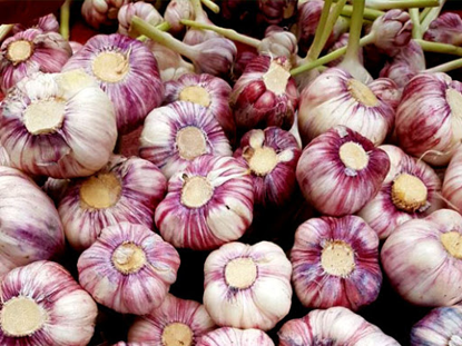 تصویر از سیر بدون ساقه 250گرم